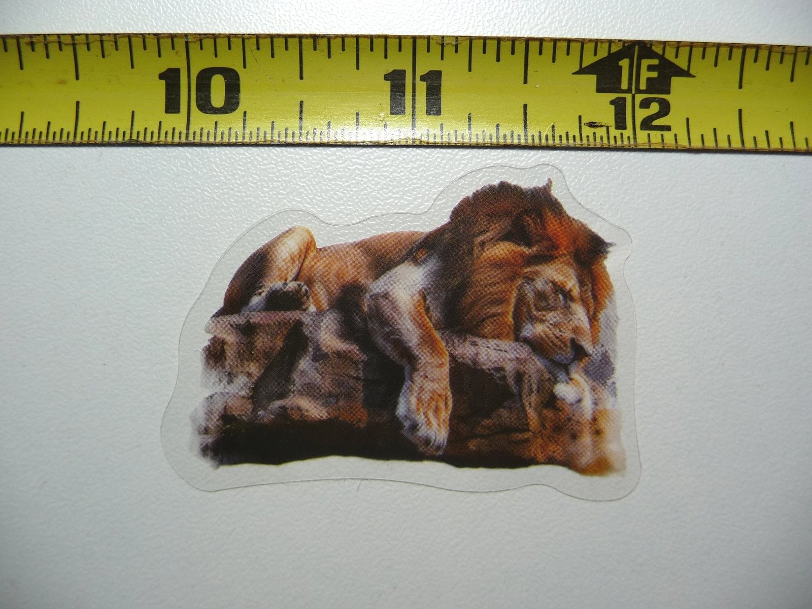 LION TAKING NAP STICKER DECAL WILDLIFE COLORFUL CUTE ZOO