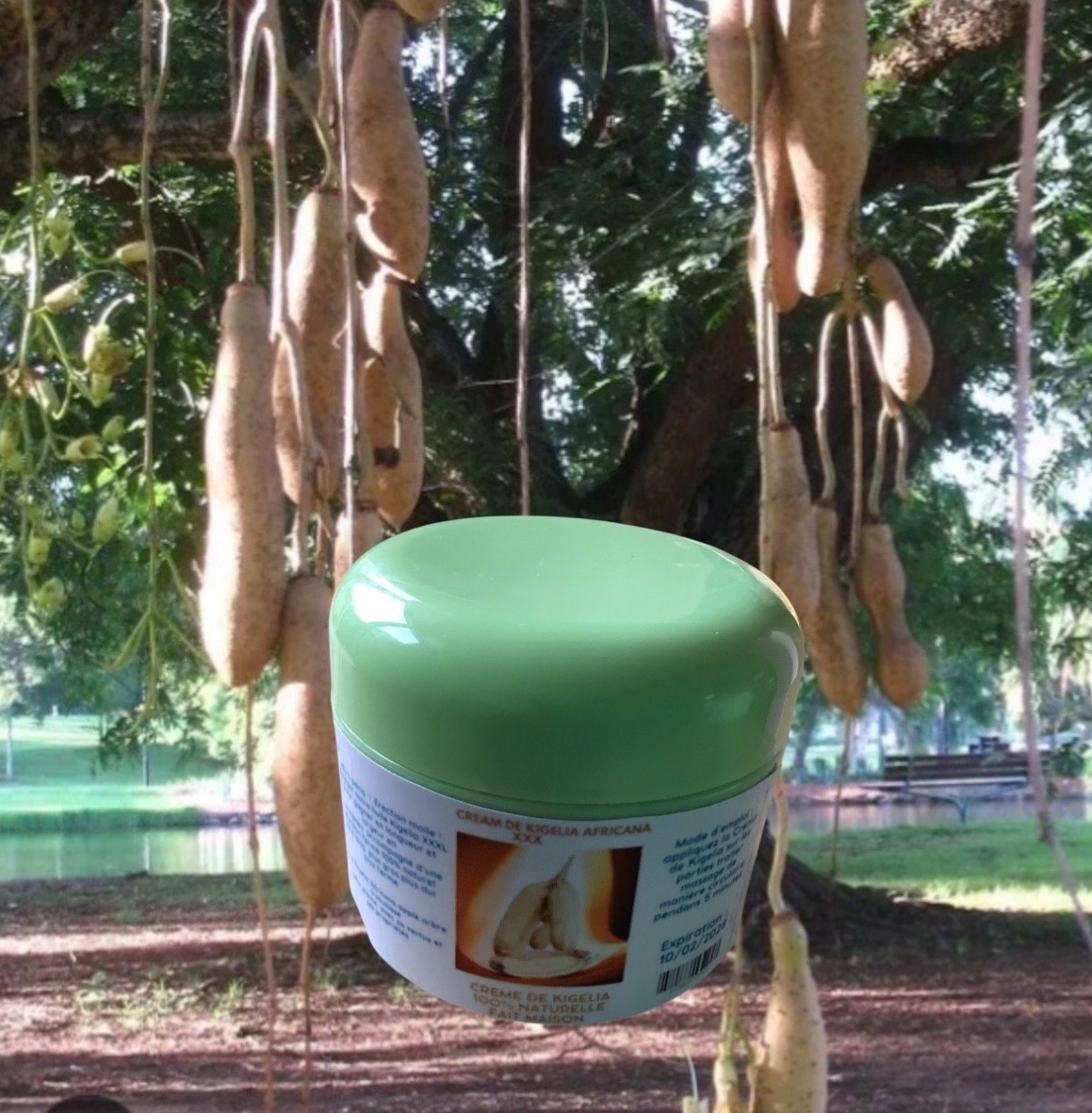 Crème Bangal 30 XX mélange d'écorces pot de 200g pour préparation traditionnelle