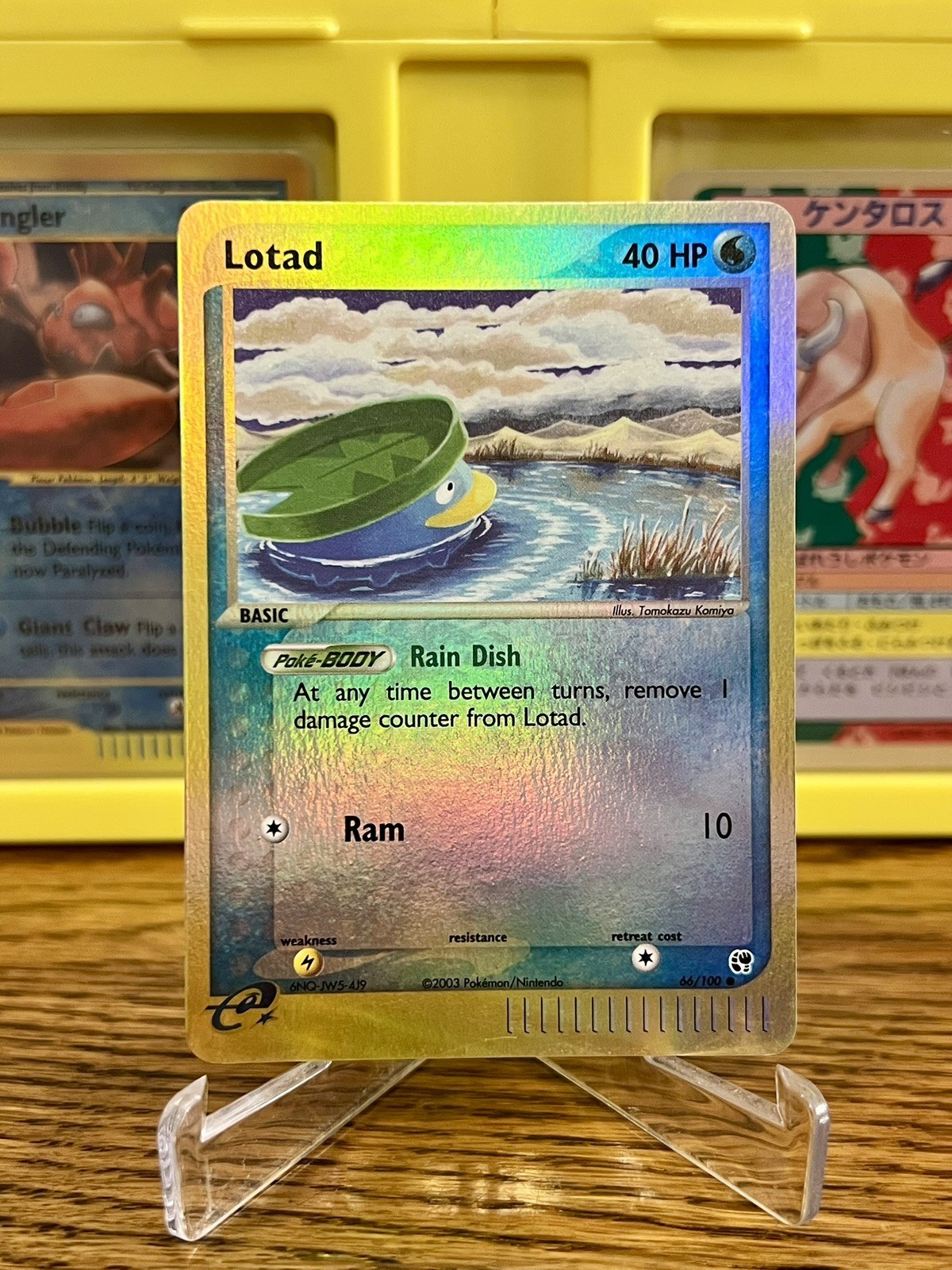 Pokémon TCG EX Sandstorm Lotad 66/100 Reverse Holo e-Series Near Mint KOMIYA