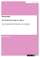 Timmy Selle | Die Wahrnehmung Der Alpen | Taschenbuch | Deutsch (2011) | 28 S.
