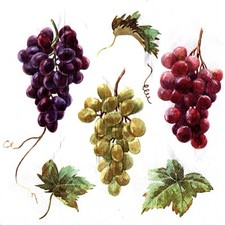 Serviettes en papier grappes de raisin vin fruits. Paper napkins grapes wine
