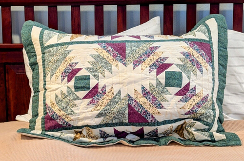 Set Of 2 American Pacific Cotton King Pillow Shams Patchwork Quilted 22”x 28”