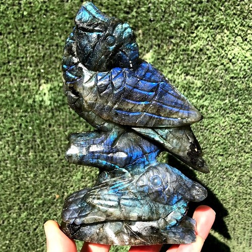 770G Natural Labradorite Quartz Crystal Hand carved eagle Specimen Healing