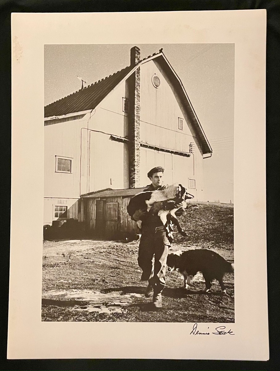 アート・デザイン・音楽 JAMES DEAN PORTFOLIO by DENNIS STOCK アート・デザイン・音楽 JAMES DEAN PORTFOLIO by DENNIS STOCK