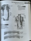 Picture 6 of 7