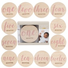 12 PCS Wooden Baby Monthly Milestone Discs Pink Script Newborn Marker Props