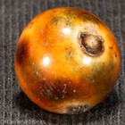 PEEWEE Handmade Fancy Bennington Antique Marble 1/2"- Mint- Hawkeyespicks sg — photo 2