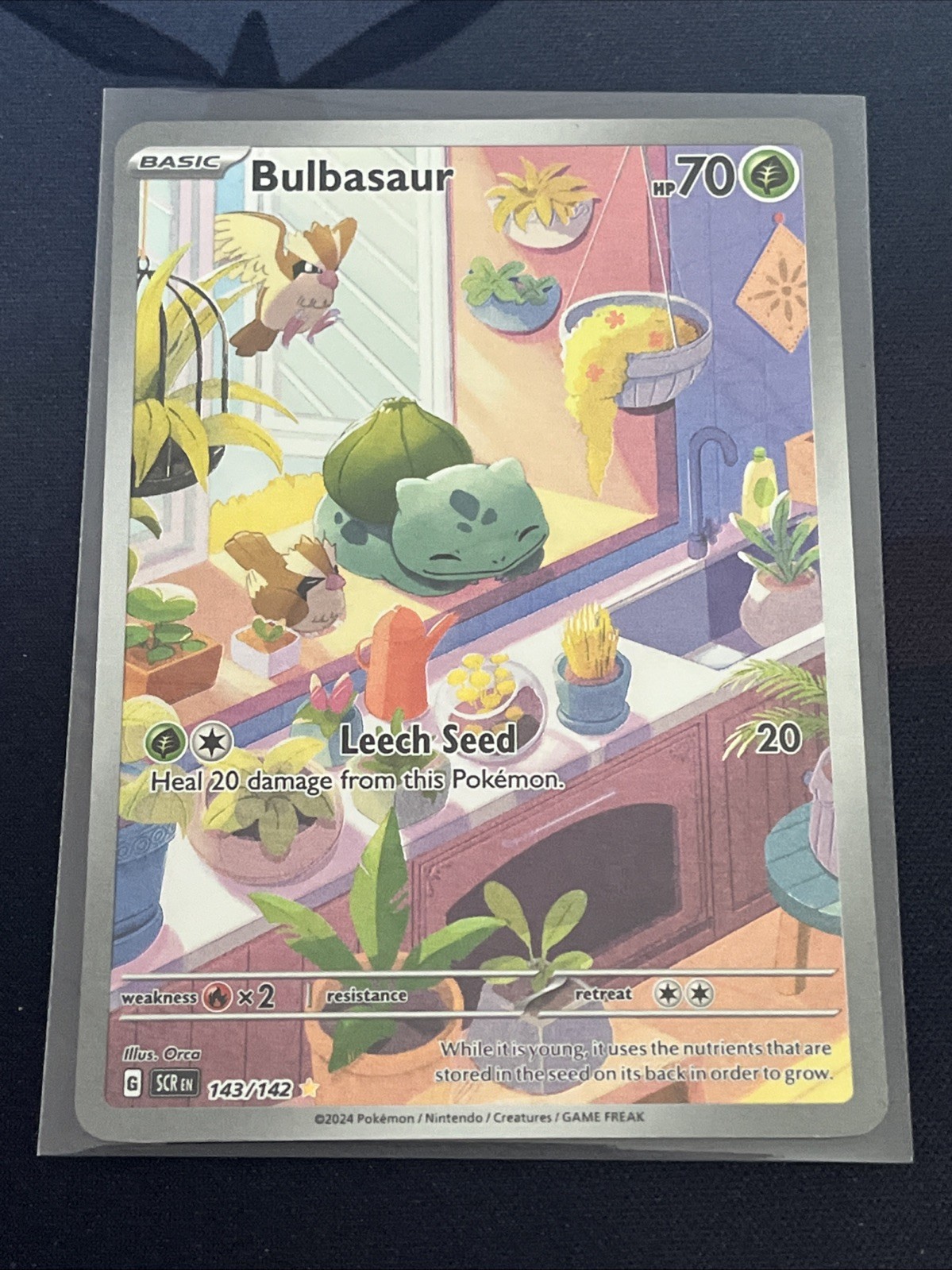 Bulbasaur Stellar Crown Illustration Card 143/142 LP/NM