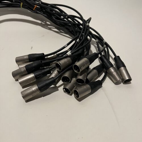 ProCo Stagemaster 20-Channel Audio Snake (~100ft) READ DESCRIPTION - Picture 3 of 6