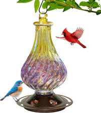 Bird Feeders for Outdoors Hanging   Hand Blown Glass Hanging Bird Feeder with Me