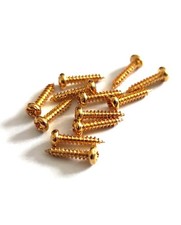 12 Gold Standard Schrauben 2,1 Mm X 10 Mm Fü...