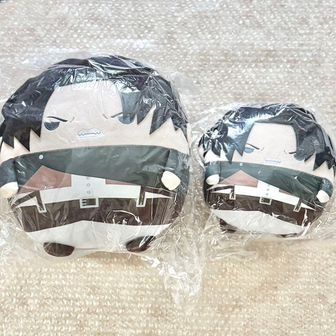 Attack on Titan Fuwakoro Rin Big & M Size Levi Plush Set Animate Limited
