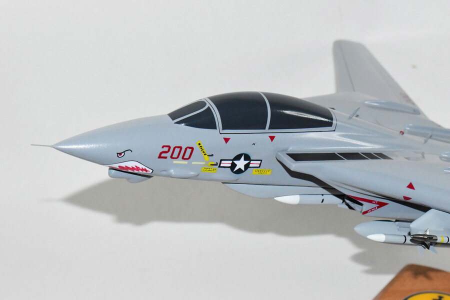 VF-111 Sundowners F-14a Model, Tomcat Model, 1/42 (18