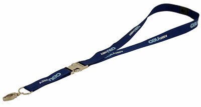 Airbus A320 neo Lanyard Schlüsselband Schlüsselanhänger Lanier Metallverschluss