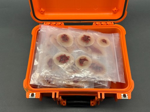 MST Moulage Sciences - Bleeding Wounds Skills Trainer kit - Picture 2 of 17