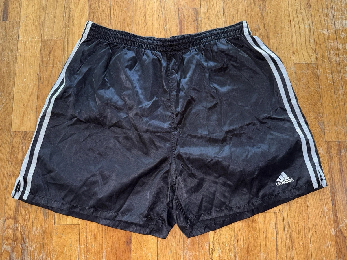 charbon シャルボン SHINING STAR RACING SHORTS Amazon.com: Alpinestars Racer Shorts Black/Bright Blue : Automotive
