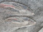 Foto 4 di 8