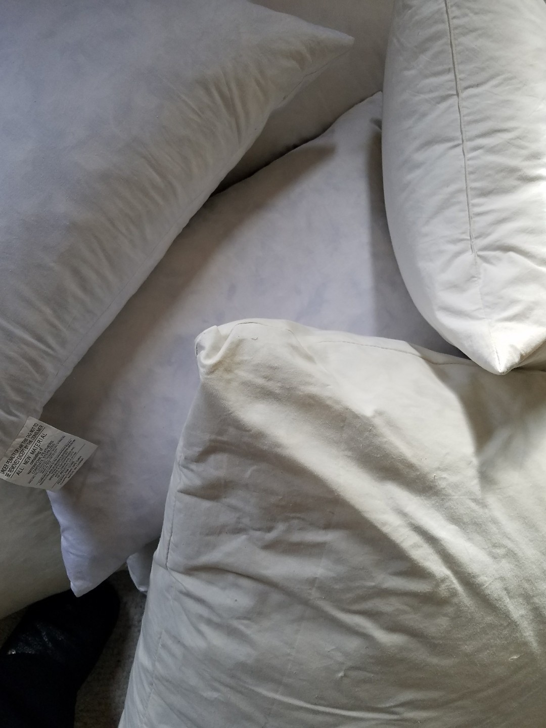 Down/Feather Pillow Inserts Variety of Sizes and Brands Preowned Clean