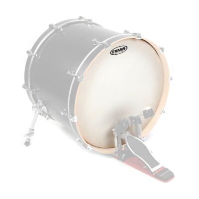 EVANS 22'' G1 Coated - Bass Drum Fell
