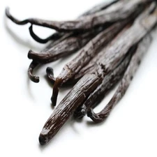 Vanilla Bean Fragrance Oil Candle/Soap Making Supplies *Free Shipping*