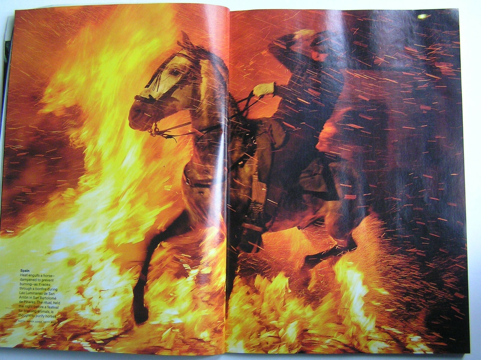 Imagen 6 de 11