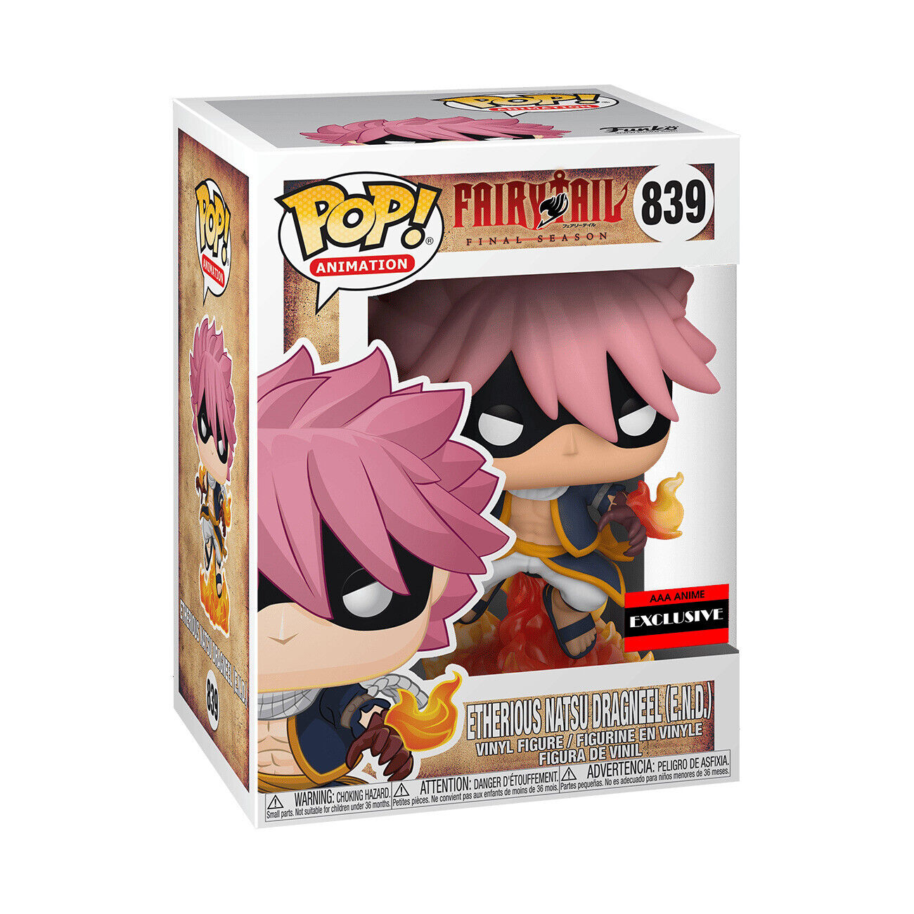 Natsu Dragneel  Fairy tail anime natsu, Natsu fairy tail, Fairy tale anime