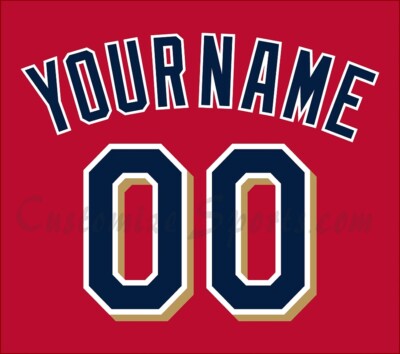 Baseball Minnesota Twins Customized Number Kit for 2016-2022 Alt Red  Uniform