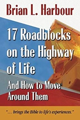 17 Roadblocks on the Highway of Life : And How to Move Around The