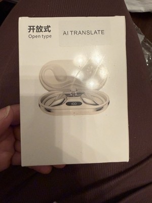 AI TRANSLATE Wireless Bluetooth In-Ear Earbuds Double White with Charging Case