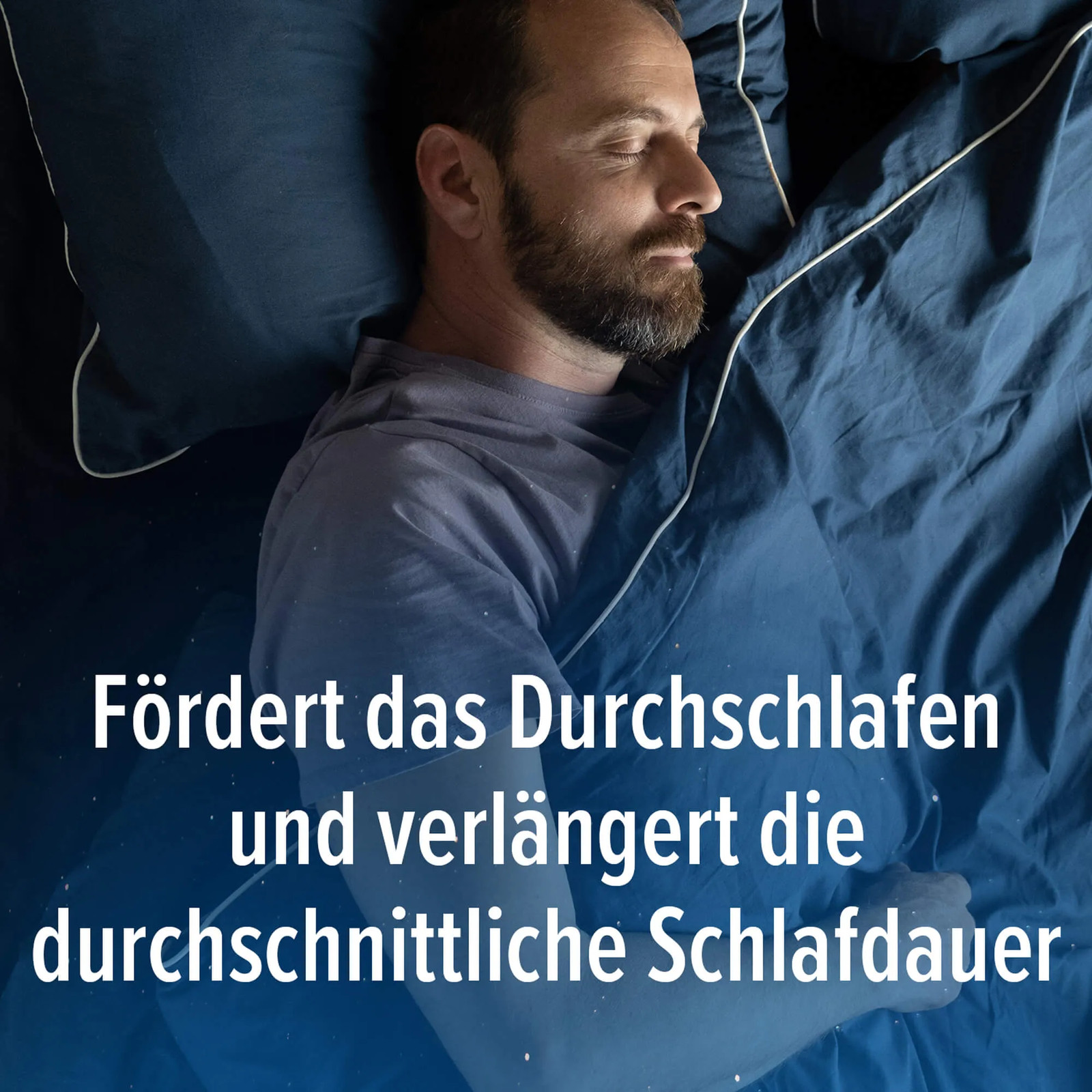 Bild 9 von 14