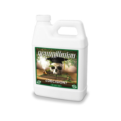 New Millenium ¿Decision? - 1L / QUART