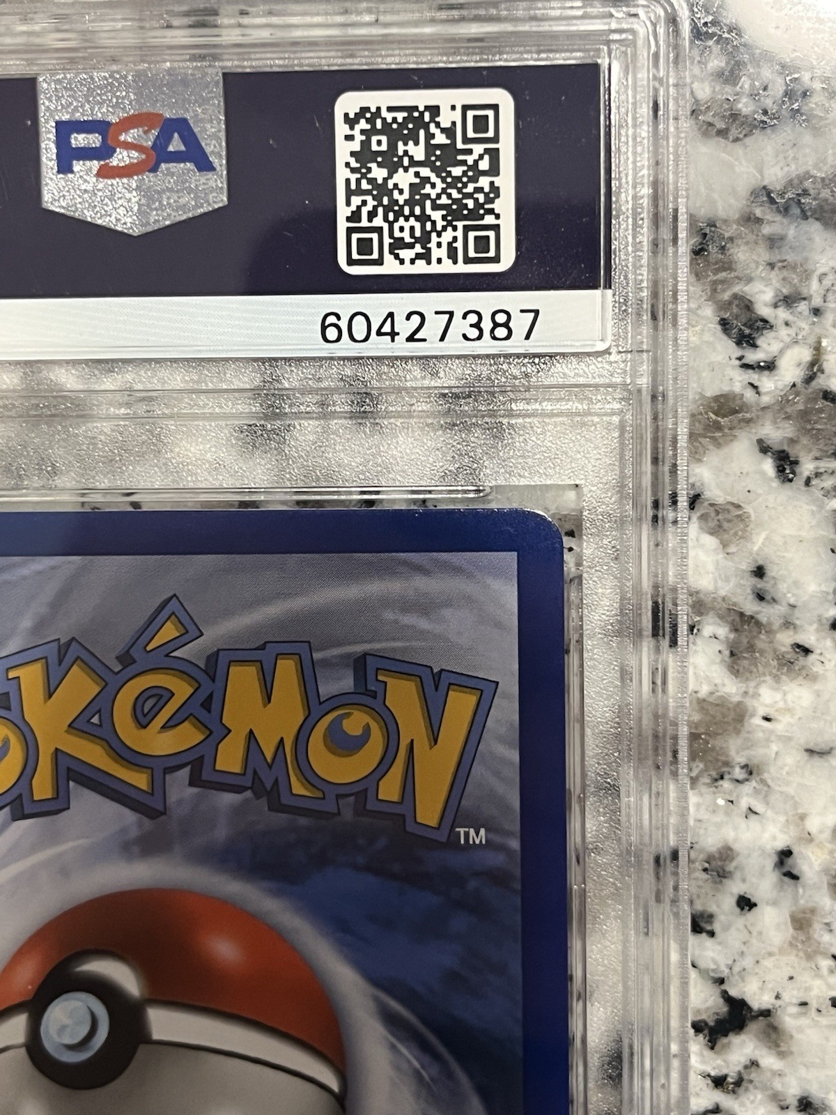 M Charizard EX 13/108 Evolutions Holo PSA 8 (potential 10 regrade) view 4