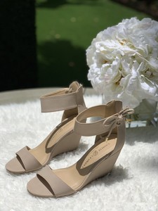 chinese laundry camomile