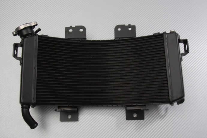 Radiateur d'eau KTM Adventure 390 rechange refroidissement liquide moto A2