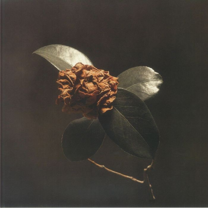 ST PAUL & THE BROKEN BONES - Young Sick Camellia (reissue) - Vinyl (LP)