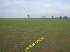 Photo 6x4 Crop field off Carr Lane Arnold/TA1241  c2015