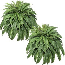 2PCS Large Artificial Fern for Outdoors, 100 Fronds Faux Ferns Artificial Pla...