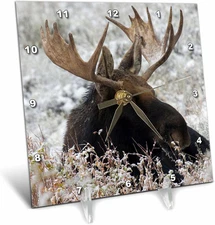 3D Rose Shiras Bull Moose Desk Clock, 6" X 6"