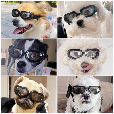 Enjoying Dog Sunglasses Small Breed, UV Protection UK | Ubuy