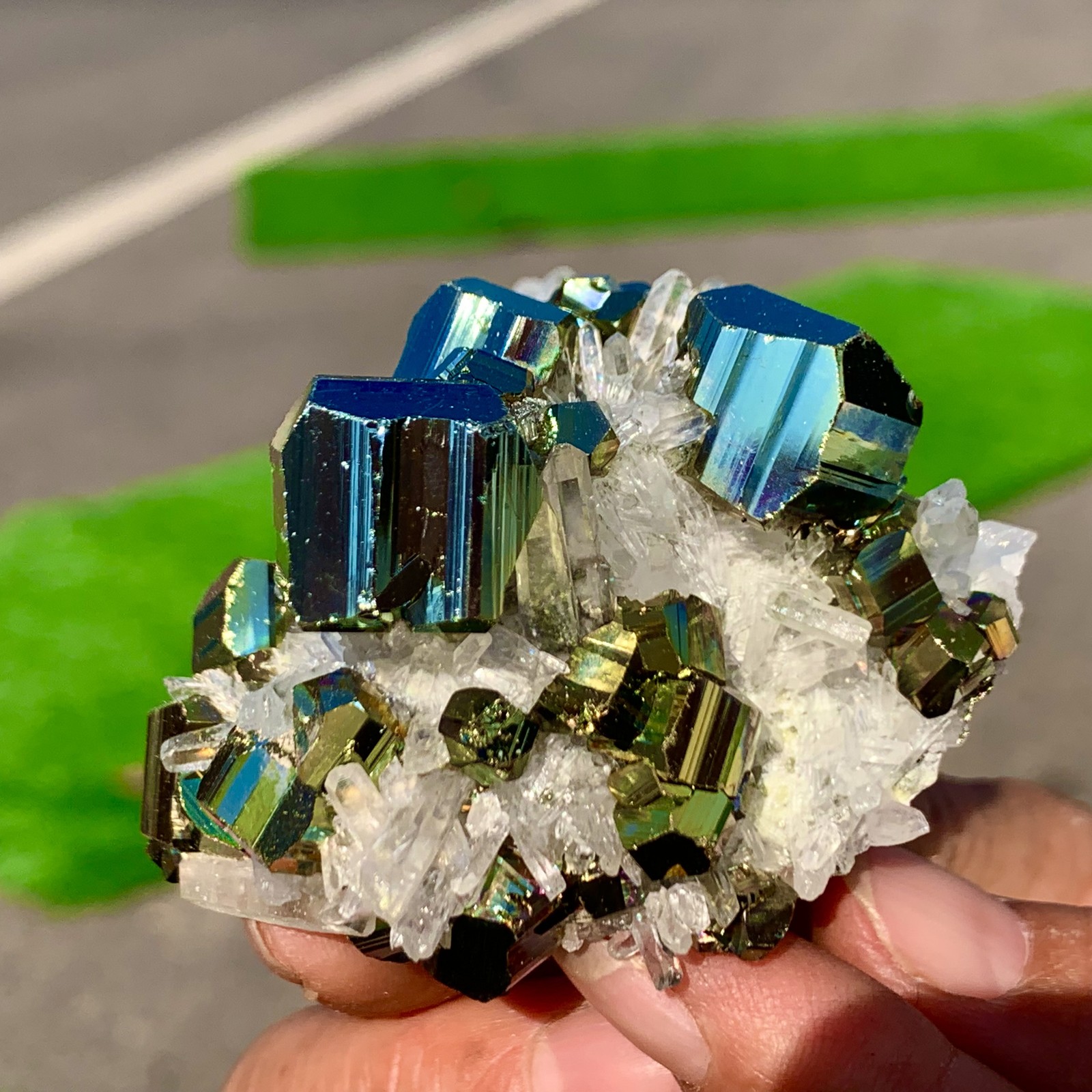 133G Natural colorful chalcopyrite clear Cluster coexisting crystal mineral