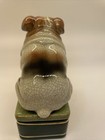 Foto 4 di 21