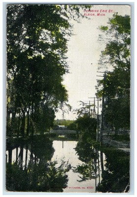 1907 Crossing Erie Street Trees Scene Albion Michigan MI Posted Vintage Postcard