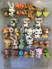 Littlest Pet Shop *You Pick* #1-50 Dogs, Cats, Kittens, Shorthair, Turtle LPS