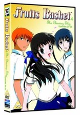 Fruits Basket Vol.4-The Clearing Sky DVD Anime (2002) Free Royal Mail Delivery