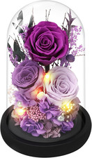 Preserved Roses Flowers for Delivery, Purple Forever Flores in Glass Dome for...