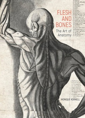 Flesh and Bones: The Art of Anatomy by Monique Kornell: Used