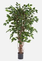 Artplants Kunst Ficus Amelio, Lianenstamm, 1565 GrüNe BläTter, 210Cm