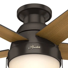 Hunter Fan 46 in Low Profile Premier Bronze Ceiling Fan wth Light and Pull Chain