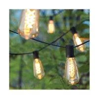 Smith & Hawken 10ct Decorative String Lights-durable & Weather Resistant - Smith & Hawken 10ct Decorative String Lights-durable & Weather Resistant -