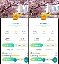 Shiny Pikachu Flower hat background Male Female P T C Read Description